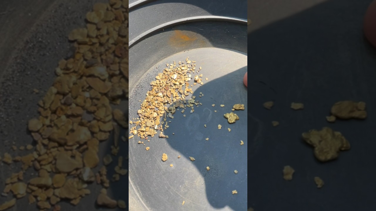 All this Gold from one Creek in Indiana 