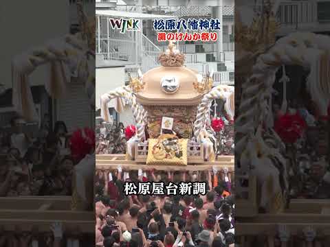 今年もやります！WINK「播州の秋祭り」特番｜#姫路ケーブルテレビ #播州の秋祭り #松原八幡神社 #灘のけんか祭り #松原屋台新調 #播州秋祭り#令和7年 松原屋台新調 #播州秋祭り