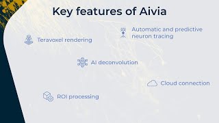 Aivia Neuroscience Tools