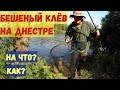 Очередной бешеный клев на Днестре.