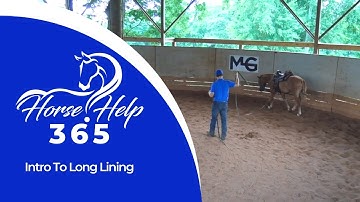 Intro To Long Lining | Horse Help - Michael Gascon