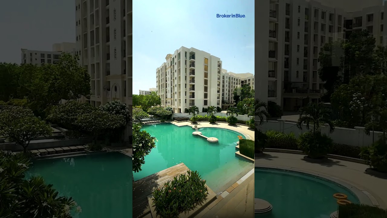Property for buy, sell and Rent.