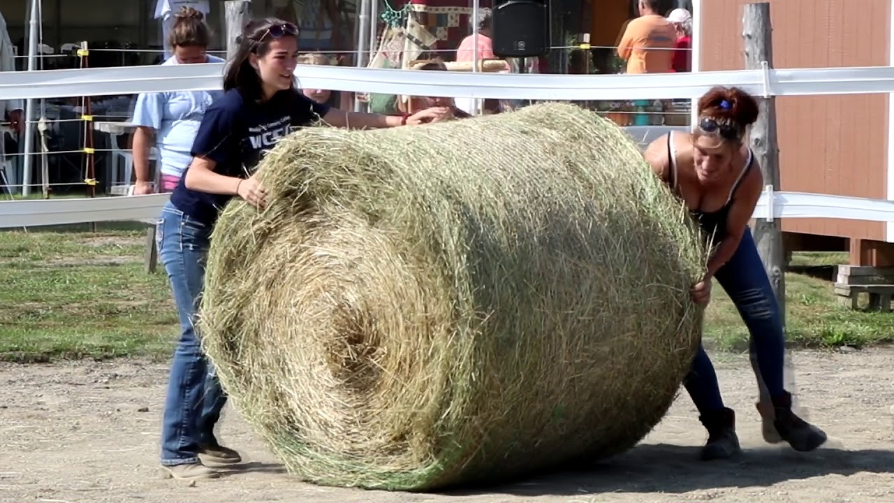 Pembroke Farm and Horse Fair YouTube