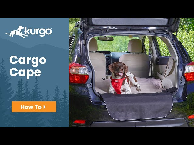 How to Install the Kurgo Car Door Guard 