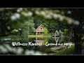 Wellness koroec  gremo na potep  vlog 33