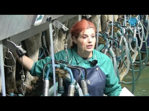 La Mujer Rural en Los Pedroches - Fay, Ganadería Los Tobías