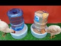 Your chickens will love it | Chicken Feeder and Drinker Idea