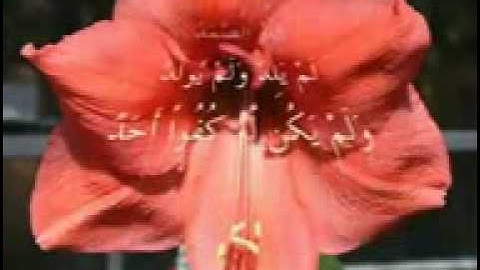 Surah 112 al-Ikhlas سورة الإخلاص by Mohammad Siddiq Minshawi