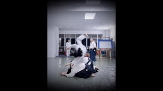 Progressive Leap and Roll Ukemi Practice | Aikidō 【合気道】