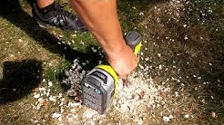 How to remove tree roots from your lawn