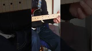 Fender custom shop 1969 stratocaster maple cap♪