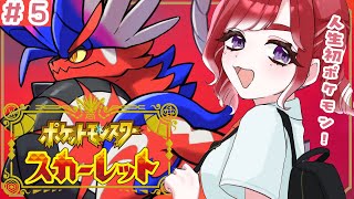 早乙女ベリーの配信のサムネイル画像