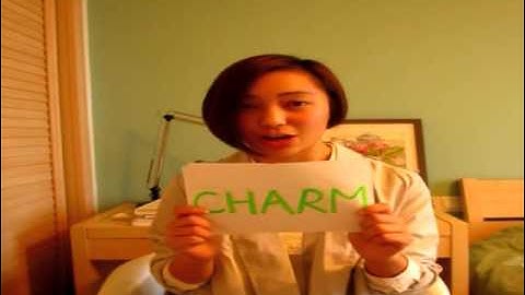 CMU BIDA program video