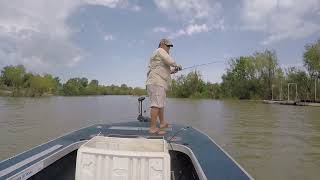 White Bass Fishing Lake Livingston Texas