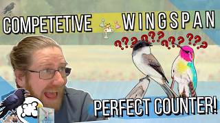 PERFECT COUNTER to Phoebe & Hummingbird! PVP0102 500ELO+ WINGSPAN