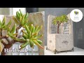ハンドメイド モルタルで作る多肉植物宇宙の木を愛でる鉢 Potted plant that loves Gollum