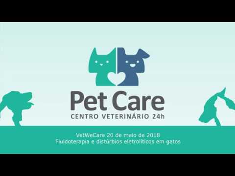 Vídeo: Distúrbio Eletrolítico Em Cães