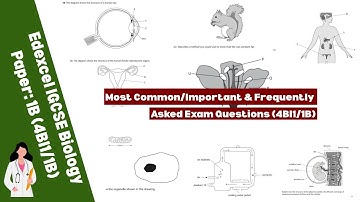 Edexcel IGCSE Biology Paper-1B | Most Commonly/Frequently Asked Questions Explained | (4BI1/1B)