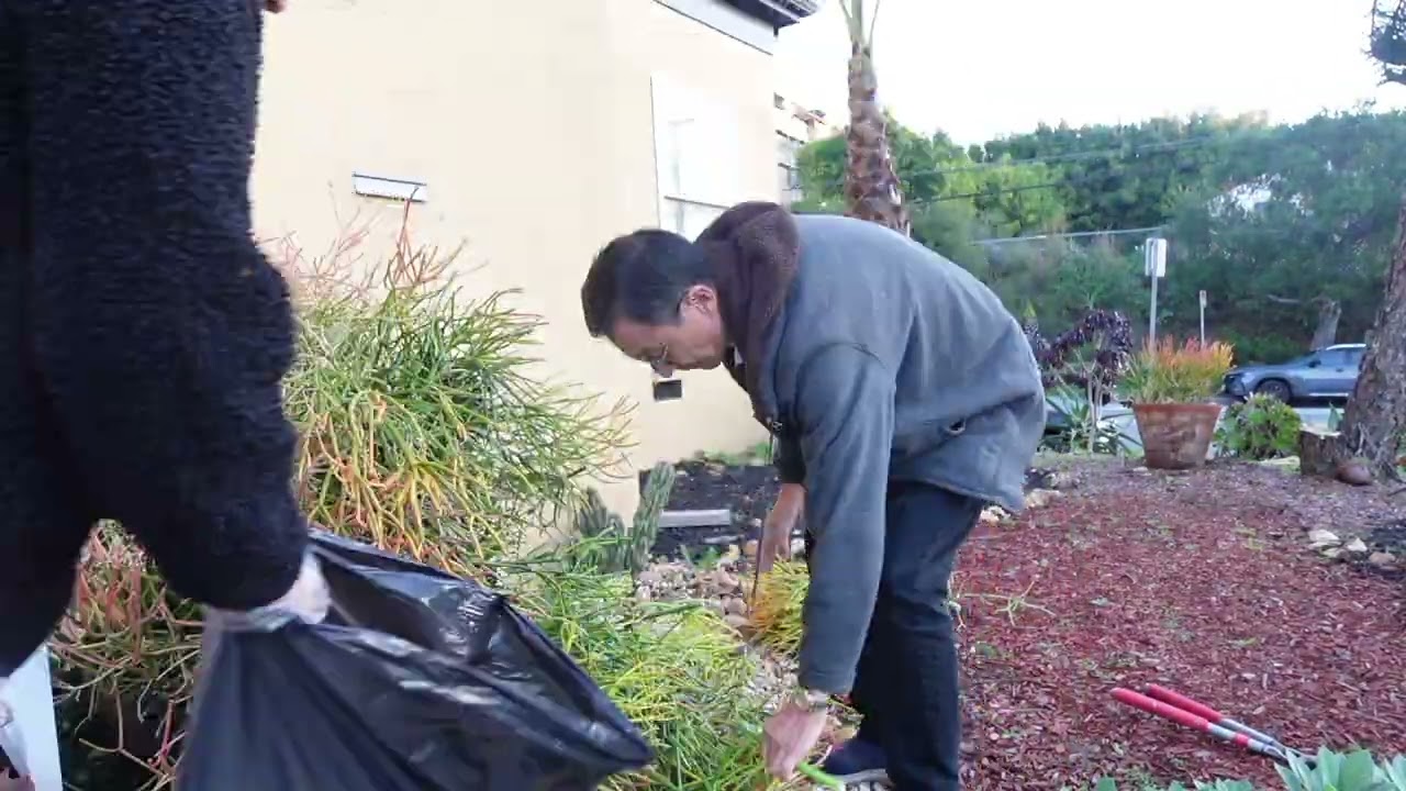 #35 Sticks on fire 대신 Blue pot