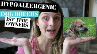HYPOALLERGENIC DOGS BREEDS  FOR FIRST TIME OWNERS