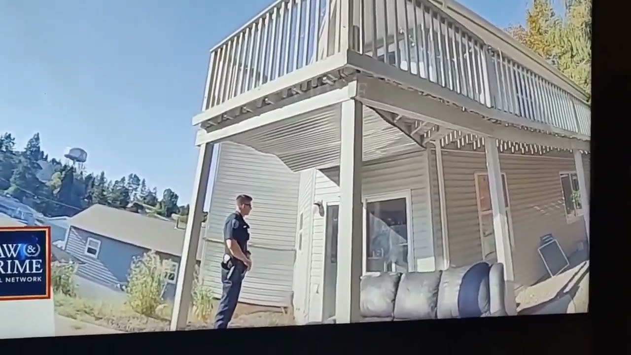 Can't understand the delay in the audio 