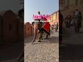 Amer Fort Jaipur 