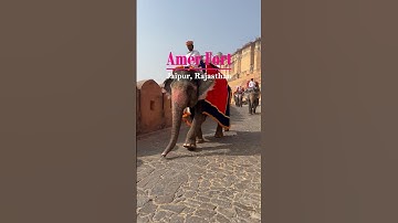 Amer Fort, Jaipur 🕊️🦚✨