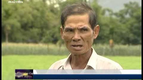 Ứng dụng khoa học và công nghệ vào sản xuất nông nghiệp