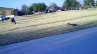 CLIP0042.AVI