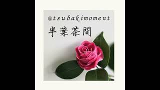Ep 8 侘寂 (廣東話) (Cantonese)