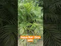 #Healthyview #fulloflife #nature