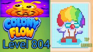 Colony Flow! level 804 gameplay walkthrough solution