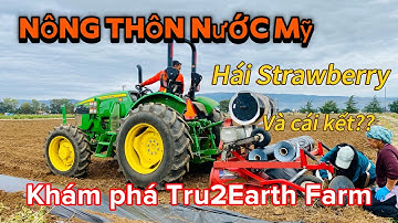 Khám phá Nông Trại Tru2Eath, Hái Strawberry và cái kết?Công Lý Vlog-Cuộc Sống Mỹ #cuocsongmy #farm