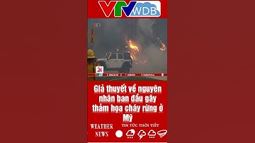 Giả thuyết về nguyên nhân ban đầu gây thảm họa cháy rừng ở Mỹ | VTVWDB