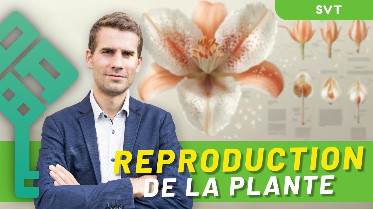 La reproduction de la plante | Terminale SVT | Bac 2026 | La Boite à Bac