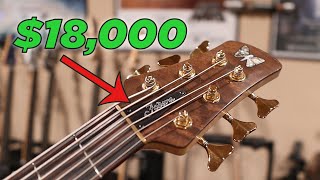 Are Expensive Basses Worth It?
