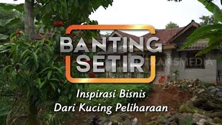 INSPIRASI BISNIS DARI KUCING PELIHARAAN | BANTING SETIR (24/01/22)