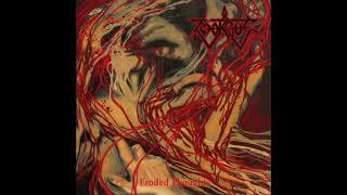 Download Lagu Morgue - Eroded Thoughts MP3