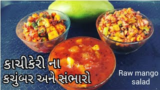 સંભારા | કાચી કેરીના કચુમ્બર/સમભારા | @tastyrecipeschannel | Kachi Kerina Sambhara Banavani Rit