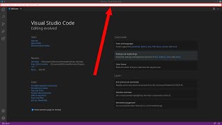 Visual Studio Code Title Bar FIX on Ubuntu 24.04 / Debian (Gnome)