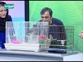 Salam Afghanistan کوچه کاه فروشی کابل مینا و ساحره Salam Afghanistan کوچه کاه فروشی کابل مینا و ساحره