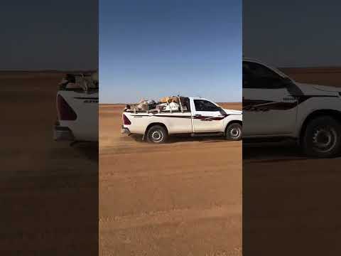 تحيا تويوتا التهريب يحاج