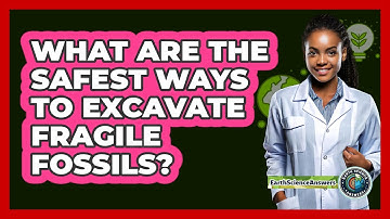 What Are The Safest Ways To Excavate Fragile Fossils? - Earth Science Answers