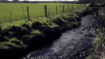 How to Prevent Diffuse Pollution on a Farm