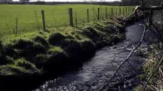 How to Prevent Diffuse Pollution on a Farm