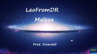 LeoFromDR - Maleza