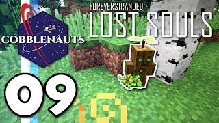 The Overworld is WEIRD! ▫ Forever Stranded: Lost Souls (Ep.09)