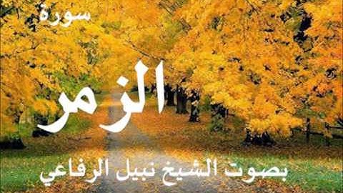 سورة الزمر بصوت الشيخ نبيل الرفاعي