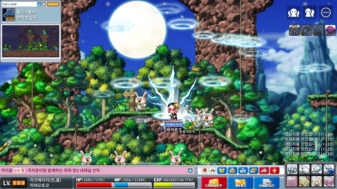 루디브리엄의 비밀 서신.. 투구 민첩성 주문서 60%