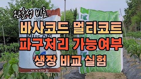 [고추재배] 바사코트, 멀티코트 파구처리 가능여부 비교 실험 | 완효성 비료 장점 | 농사꾼들의 노지 고추 생산 목표는 얼마인가?